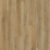 Pecan